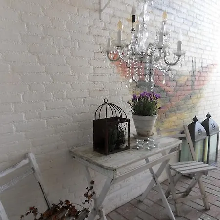 Appartement Apartement Nummer 12 *